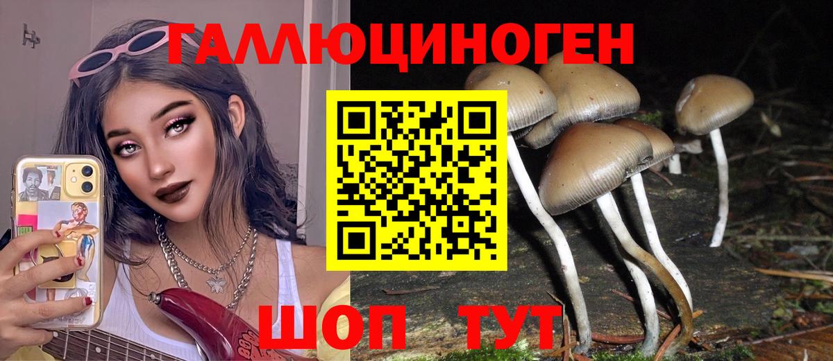 Галлюциногенные грибы GOLDEN TEACHER Сорочинск